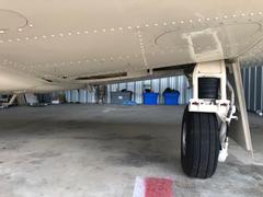 Bottom Left WIng 3.jpg